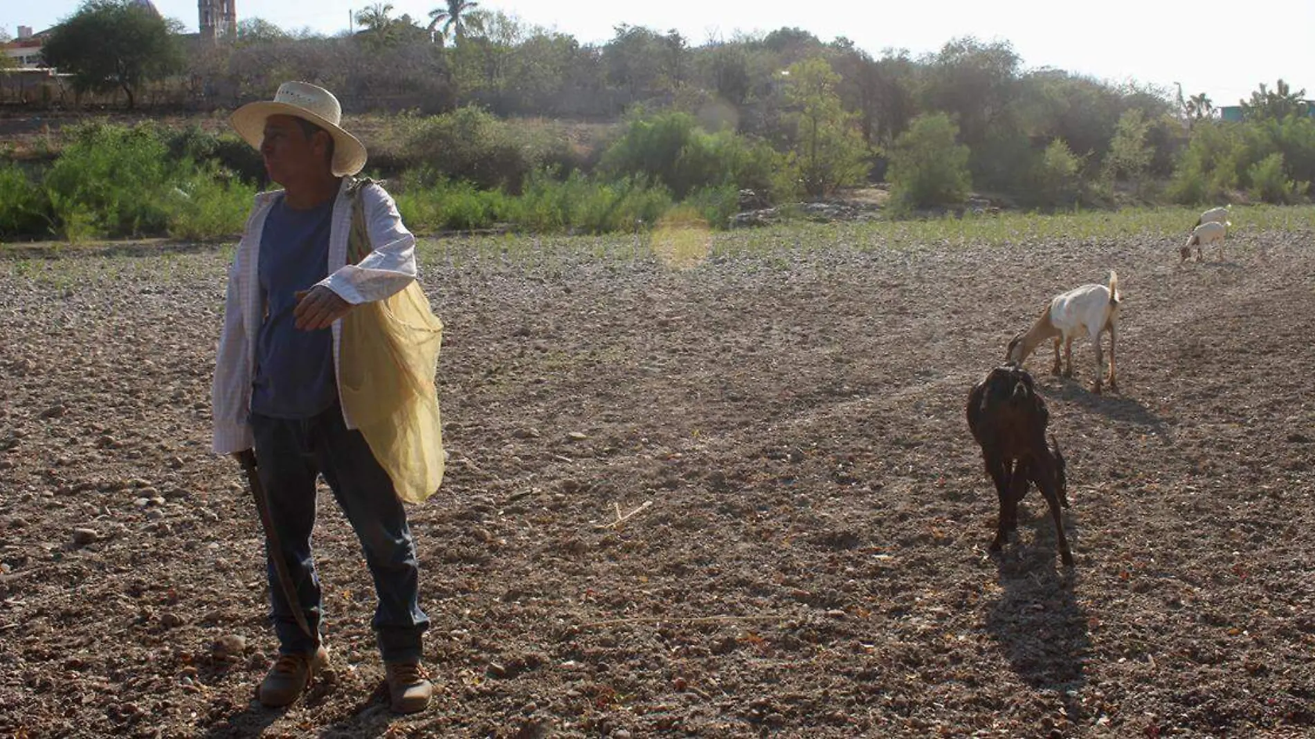 El río quedó completamente seco desde marzo